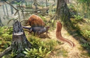 flora y fauna del periodo carbonifero